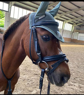 Foto von Emilia (14).jpg