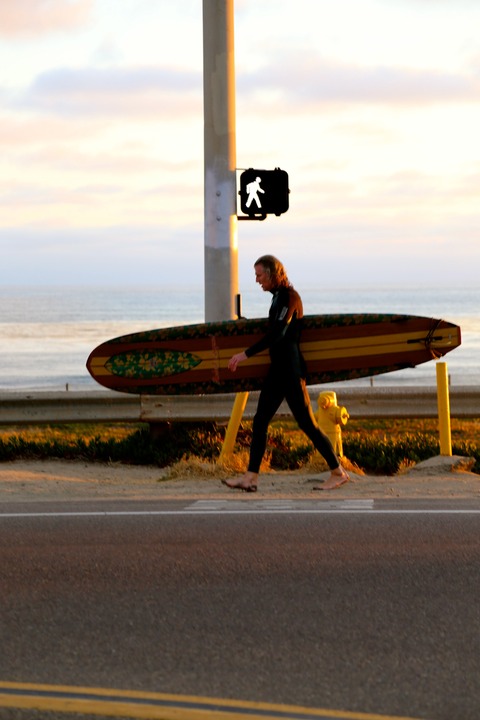 Californian hobby