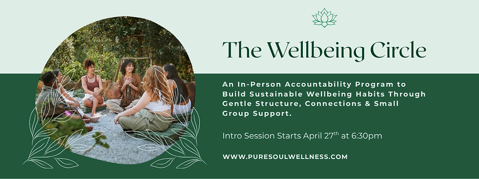 The Wellbeing Circle Web Banner2.png