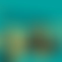 OFICINA: O ACTOR-CRIADOR