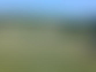Training course at Golf du Chammet with Pro Guillaume on Tuesday, 17 June 2025