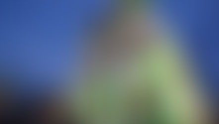 Notre-Dame cathedral with lighting projecting on the exterior facade