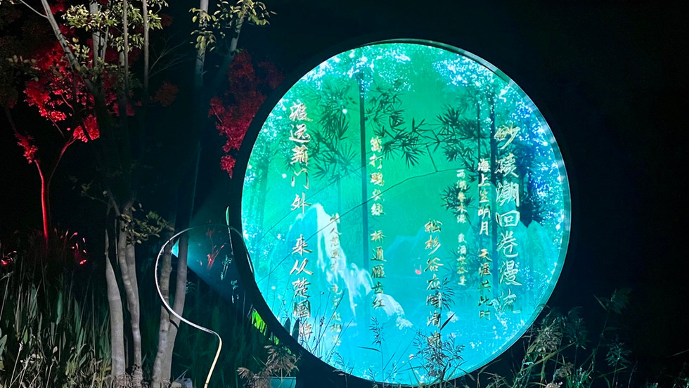 A circular object with a projected green light, placed in a wooded area