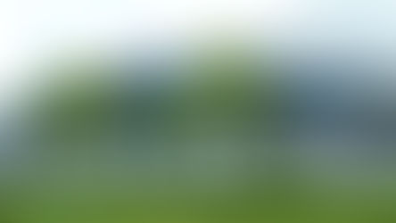 The exterior of Shenzhen Science and Technology Museum with a curved facade and trees in front of the building