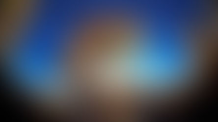 A fish-eye image of an autumnal tree against a blue sky