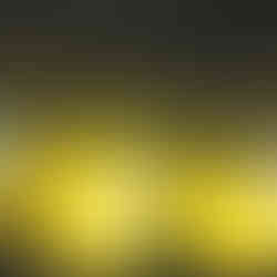 An arena with hazy yellow lighting creating silhouettes of the crowd