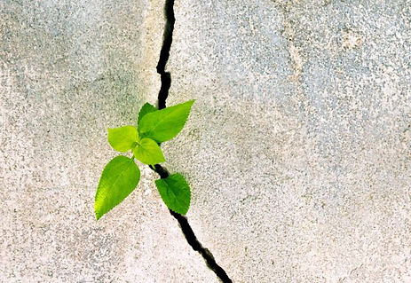 PAFF_040118_stressresilience-609x419.jpg