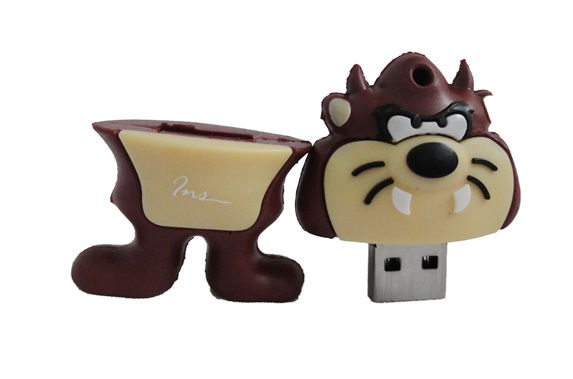 FLASH MEMORY TIPO TAZ.jpg