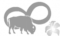 msn grey.png