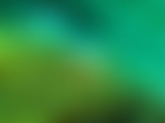 Indonesien - den bästa dykningen i världen!