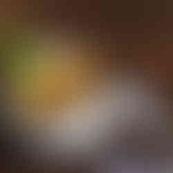 Kolak, dessert gjord av bananer, sötpotatis och kokosmjölk, Indonesien