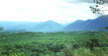 Gunung Leuser Nationalpark, Sumatra, Indonesien