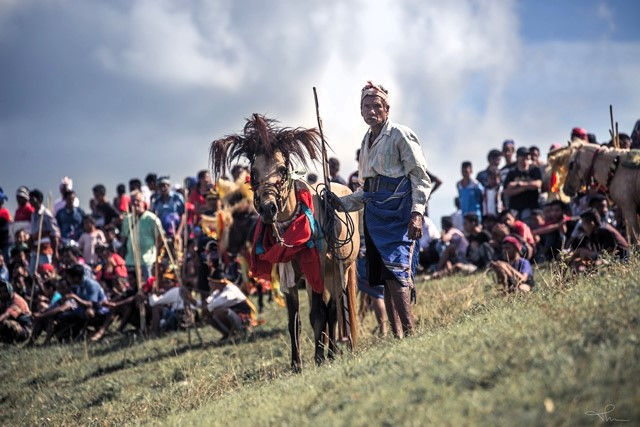 Pasolafestivalen, Sumba, Nusa Tenggara Timur, Indonesien