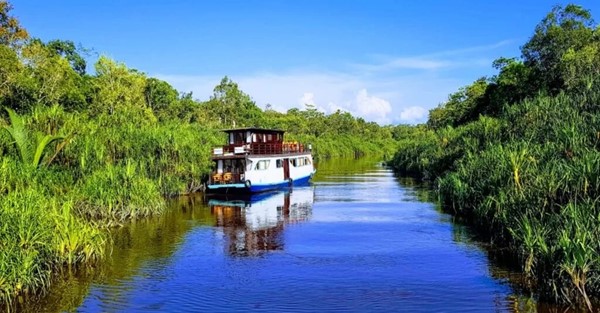 Traditionell Klotok-båt, Kalimantan, Indonesien