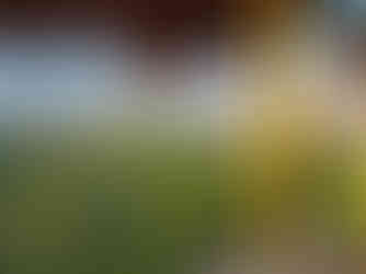 Morinda Villa, Waingapu, Sumba, Indonesien