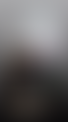 Belgian Artist Polly Pollet solo exhibition with drawings made in ballpoint together with indiandribble