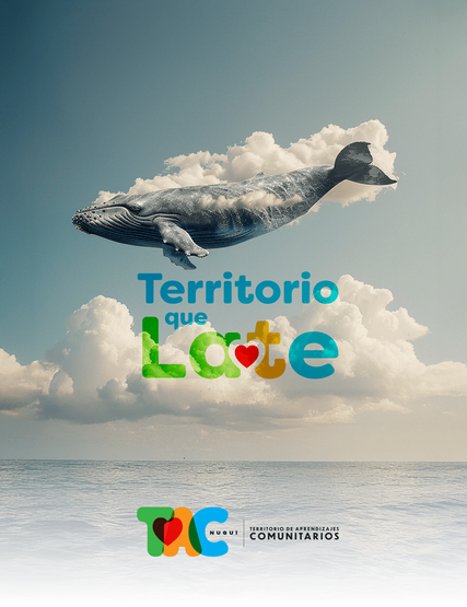 TAC Nuquí / Espacios de desarrollo humano
Estudio Peregrino, Agencia de branding y estrategia de marca, Estudio de diseño gráfico y dirección de arte, Consultoría en comunicación de marca, Diseño de identidad visual corporativa, Creación de logotipos y manual de marca, Naming y arquitectura de marca