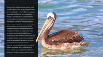 Revista Juntanza / Voces desde el territorio
Estudio Peregrino, Agencia de branding y estrategia de marca, Estudio de diseño gráfico y dirección de arte, Consultoría en comunicación de marca, Diseño de identidad visual corporativa, Creación de logotipos y manual de marca, Naming y arquitectura de marca