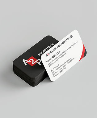 projet carte de visite fabien quellec