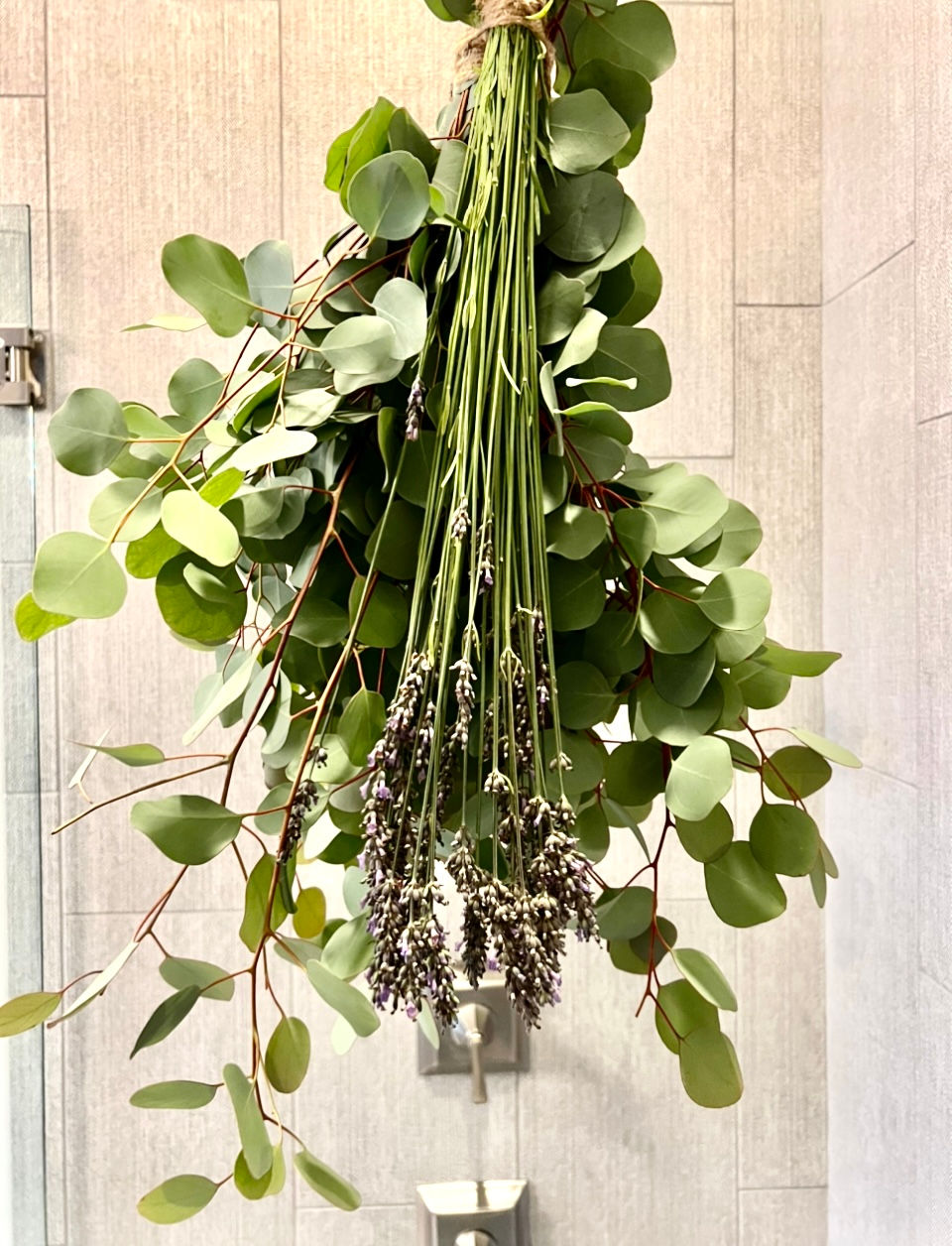 Fresh Eucalyptus + Lavender Shower Bundle