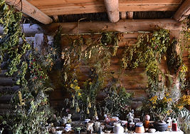 DSC_0220_edited.jpg