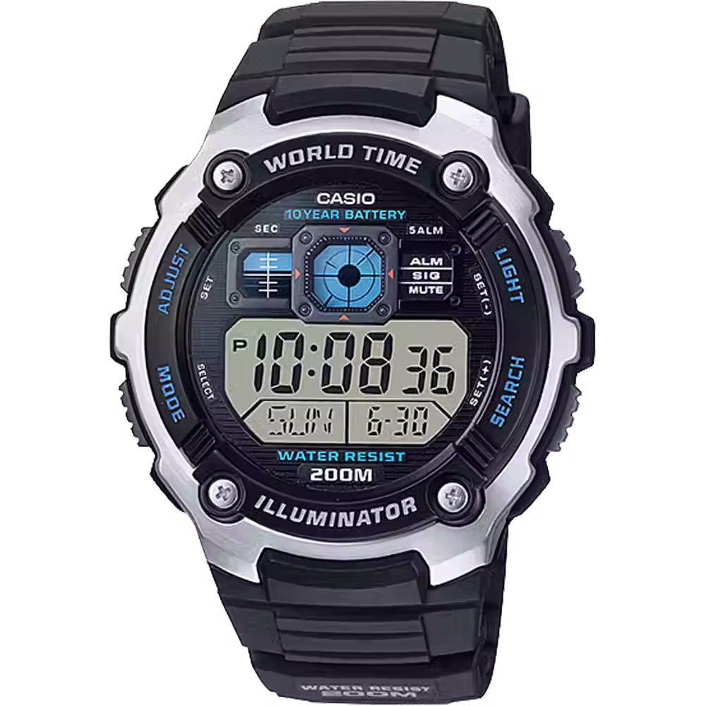 Casio 3199