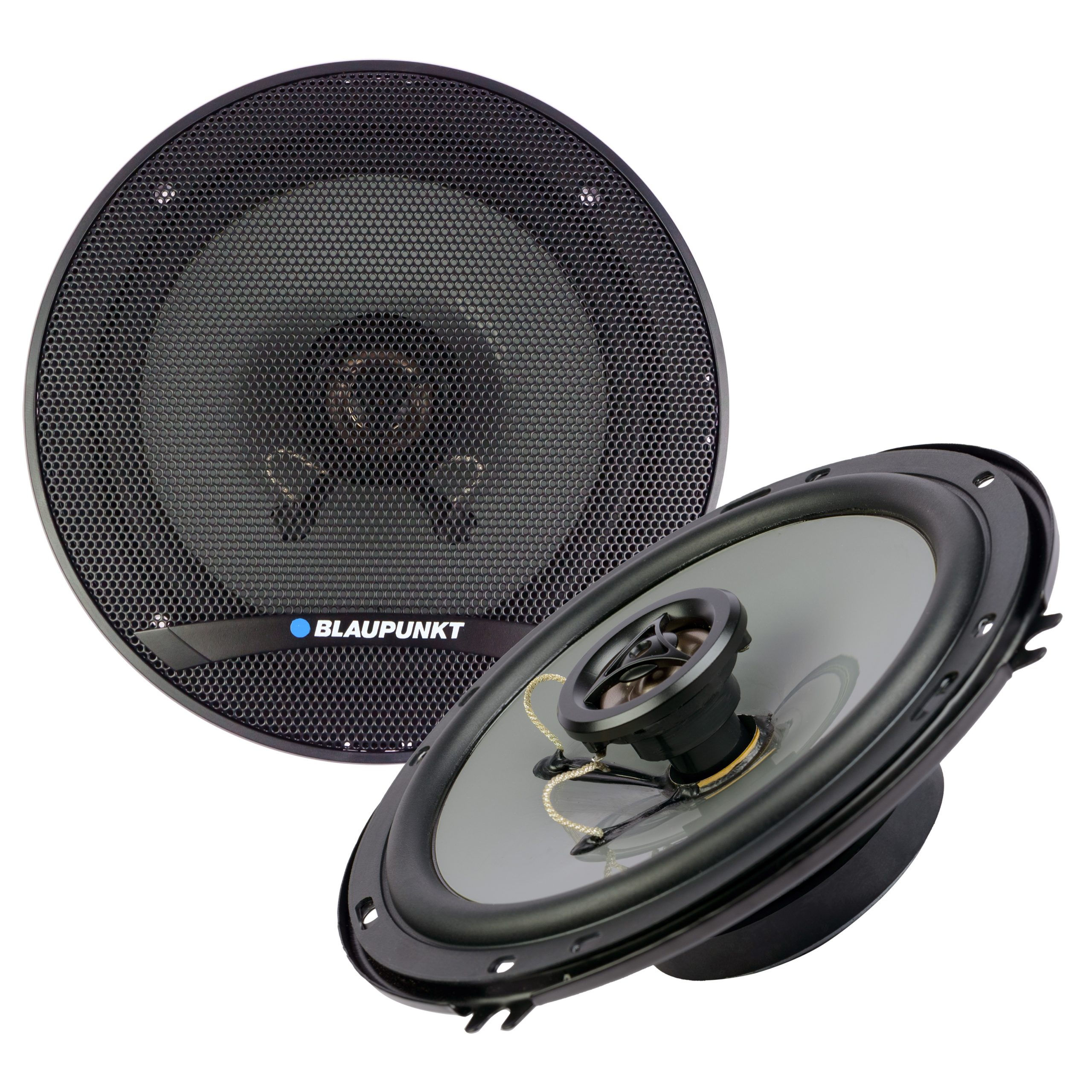300W 2-Way Coaxial Speakers