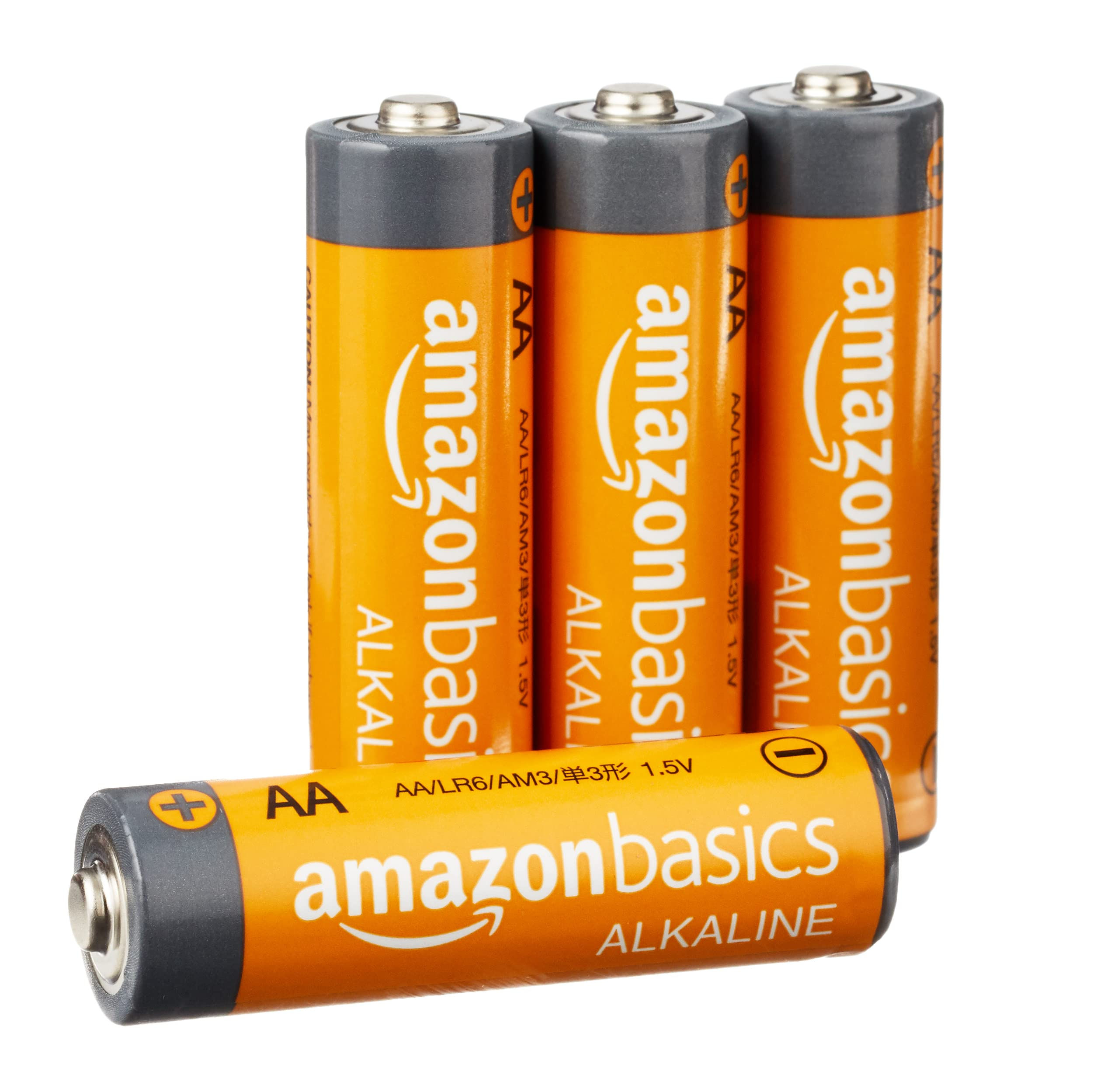AA Alkaline Batteries x 2