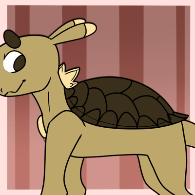 shell.gif