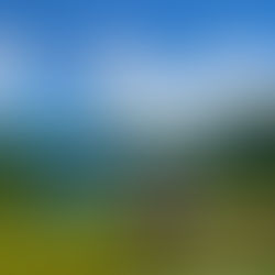 第二回　サマーキャンプ　8月18,19日