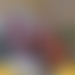 Cérémonie de remise des diplômes Faculté de Droit 2016