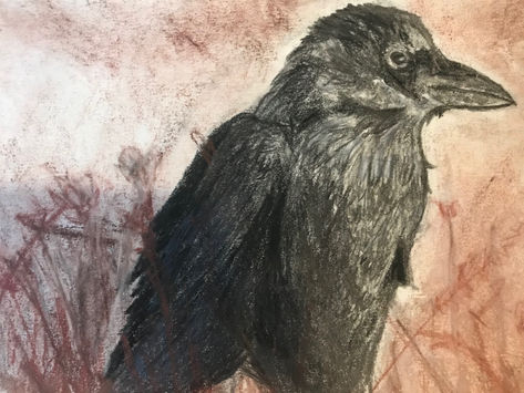 LAURA K., "CROW OVER GRASSFIELD" 