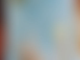 MONA P., "MORNING AT THE ZOO" & "BABY BELL'S COMPUTER"