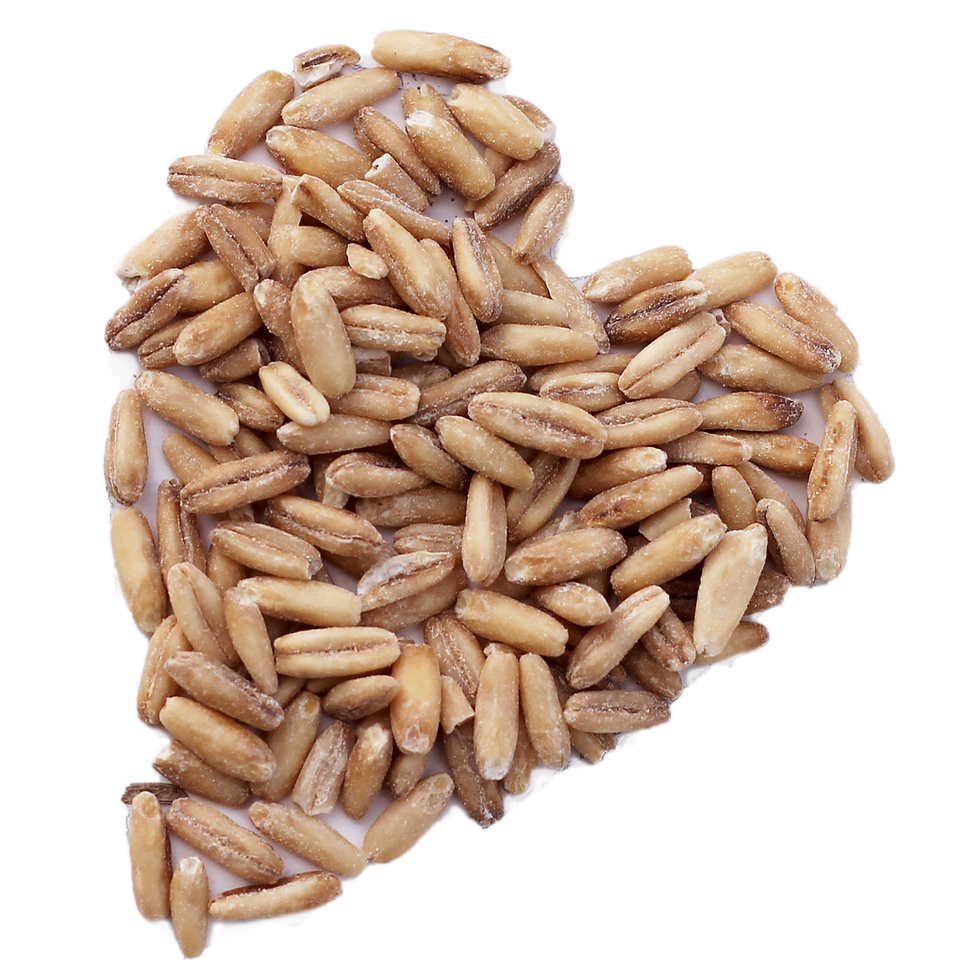 Organic Oat Groats - 35lb bucket