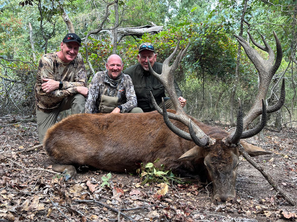Group of hunters with trophy bull elk in East Texas woods at Cedar Cove Ranch