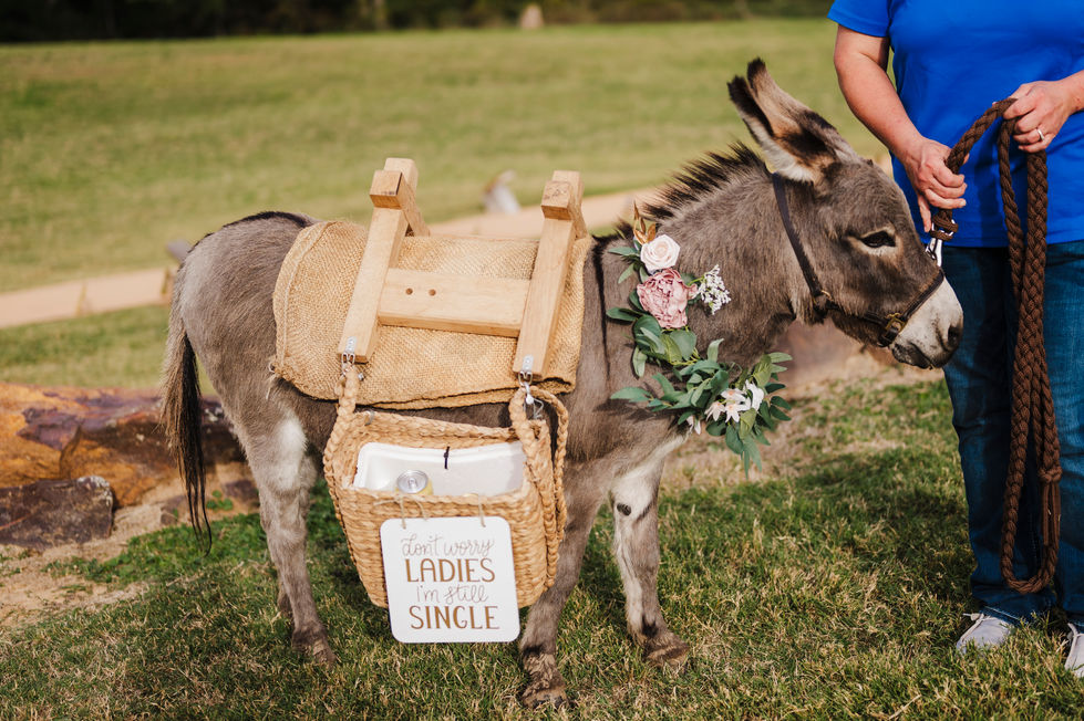 Ranch donkey with wooden saddle and sign at the wedding