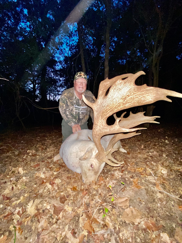 Cedar Cove Ranch — photo 1