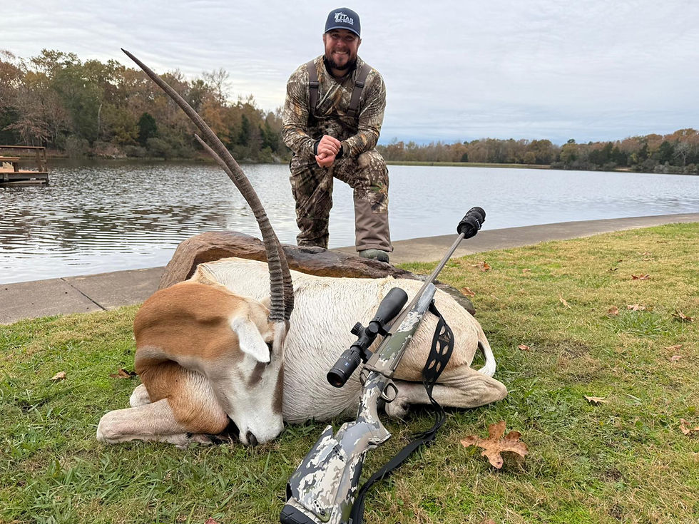 Thumbnail: Trophy scimitar oryx hunting at Cedar Cove Ranch Texas showcasing distinctive curved-horn desert antelope