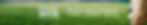 BANNER SITE.jpg