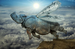 Learning to fly II