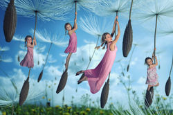 Spring is in the air