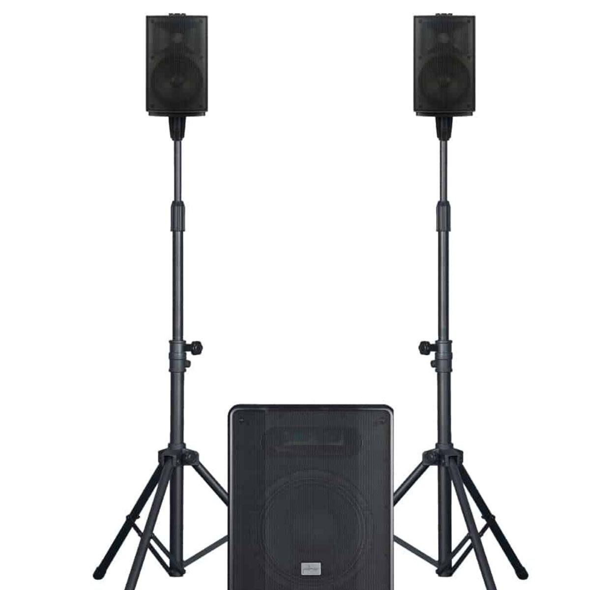 מערכת הגברה מלאה Polman Lion1000