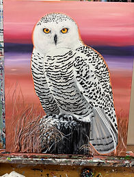 is-snowy-owl-24x18.jpeg