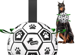 dog soccer ball.PNG