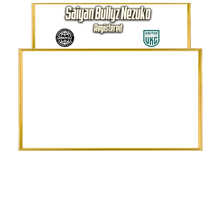 Nezuko Website Page.png