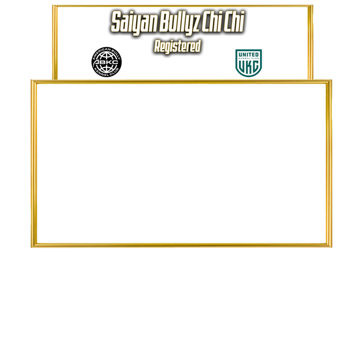 Chi Chi Website page.png