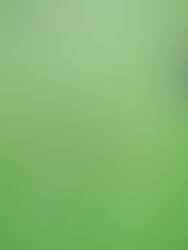 Circuito aerobico calcio specifico per ruoli