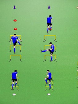 Pre-Training Activation: High Hurdle Warm-Up for Joint Mobility