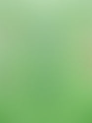 Possesso Palla a quattro squadre 5vs5 con transizioni e riconquista della palla persa