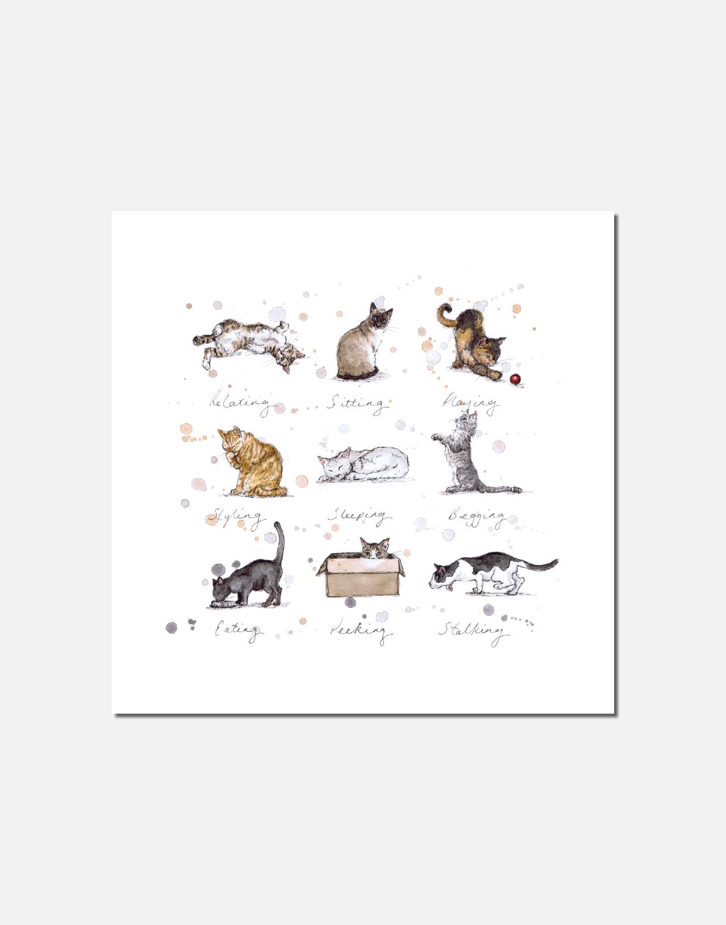 Meow | Signed Limited Edition Print